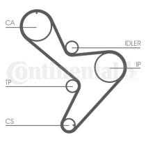 CONTINENTAL CT1014 - Correa distribución