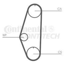 CONTINENTAL CT629 - Correa distribución