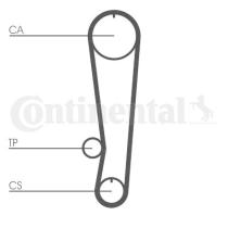 CONTINENTAL CT808 - Correa de distribución