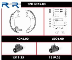 WOKING SPK307500 - Kit De Freno Premontado