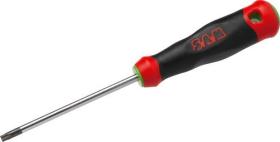 Sam T30X115 - DESTOR.S1 TORX T30